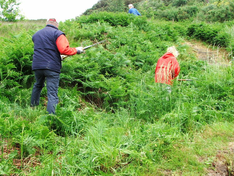 Cutting with slashers