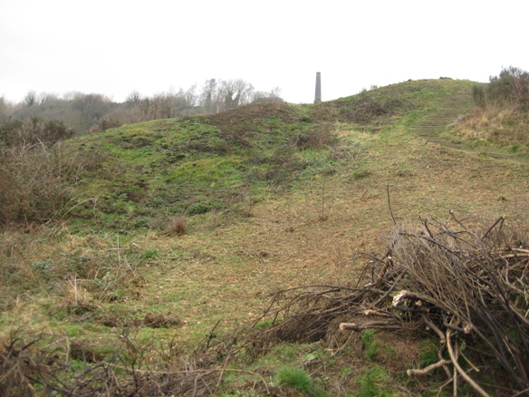 Burnt broom work.jpg